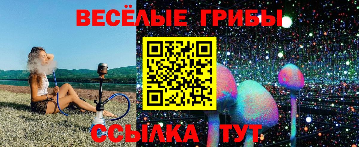 Псилоцибиновые грибы мухоморы Новоалександровск
