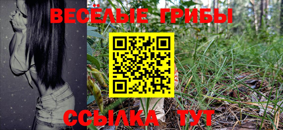 Псилоцибиновые грибы Psilocybine cubensis Новоалександровск