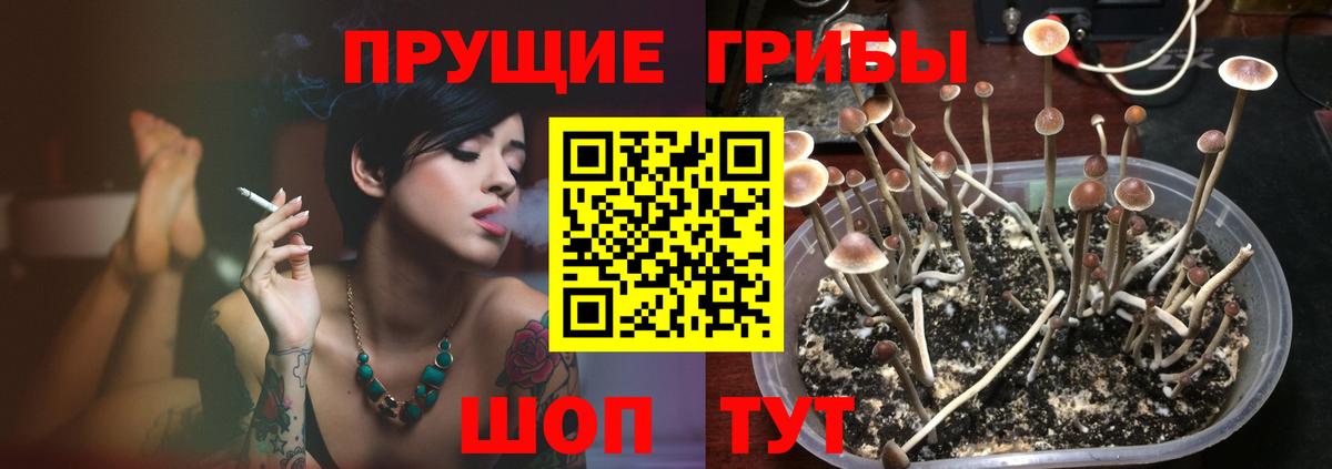 Галлюциногенные грибы мухоморы  Новоалександровск 